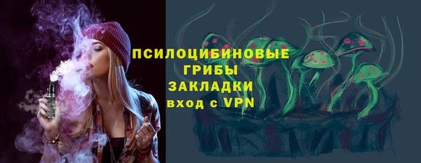 мдпв Лабытнанги