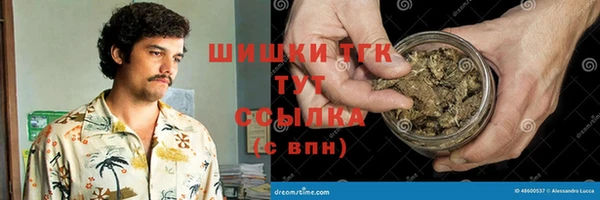 мдпв Лабытнанги