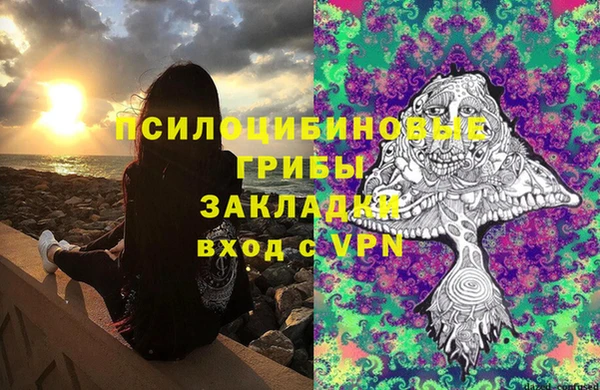 мдпв Лабытнанги