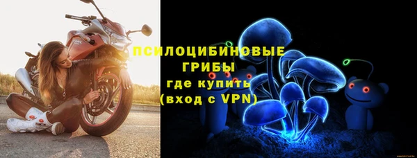 таблы Ладушкин