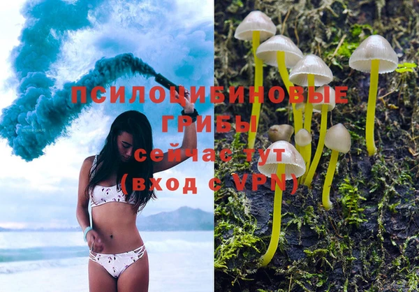 мдпв Лабытнанги